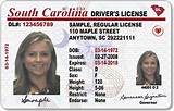 Free Driver License Test Images