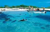 Pictures of Galapagos Island Tour Packages