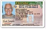 Images of Florida Dmv Restricted License Requirements