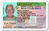 Louisiana Dmv Drivers License Check