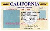 California State License School Photos
