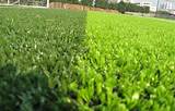 Pictures of Synthetic Grass Soccer