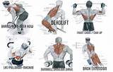 What Are Good Back Muscle Exercises Images