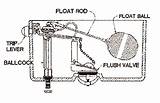 Universal Rundle Toilet Parts Pictures