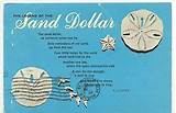 Pictures of Sand Dollar Story Of Jesus