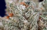 The Most Expensive Marijuana Images
