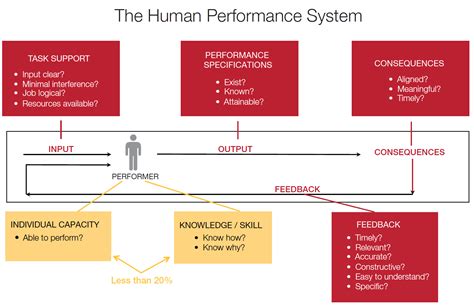 Human Performance Certification