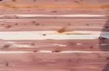 Pictures of Where To Buy Cedar Wood