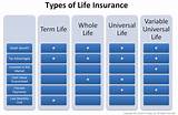 Various Types Of Life Insurance