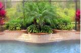 Pictures of Texas Pool Landscaping Plants