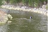 Images of Fly Fishing Estes Park Area
