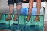 Pictures of Fish Foot Spa