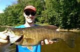 Pictures of Smallmouth Bass Fishing In Michigan
