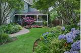 Images of Your Yard Is A Garden Landscaping