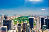 Photos of Central Park Grooming