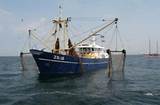 Commercial Fishing Salary Images