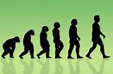 Basic Theory Of Evolution Images