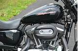 Images of Harley Davidson Sportster 1200 Gas Tank Size