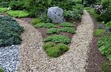 Landscaping Rock Mulch Photos