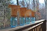 How Do You Build A Carpenter Bee Trap Pictures