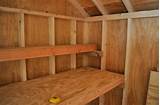 Shed With Shelves Photos