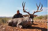 Images of West Texas Mule Deer Outfitters