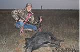 Images of Hog Hunting Outfitters Texas