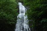 Smoky Mountain Hiking Trails Waterfalls Pictures
