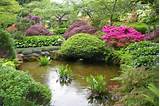 Japanese Landscape Plants Images