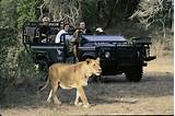 Kruger Safari 4 Day Package