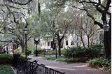 Pictures of College Of Charleston