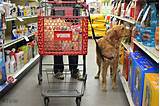 Tractor Supply Dog Policy Pictures