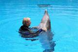 Dolphin Trainer Salary Photos