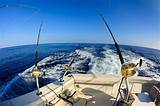 Photos of Hawaii Charter Fishing