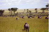 Where Is The Serengeti National Park