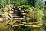 Photos of Pond Landscaping Rocks