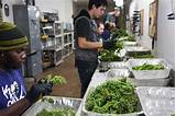 Images of Marijuana Dispensary Jobs