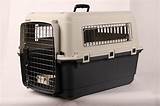 Pictures of Dog Crate Travel Carrier