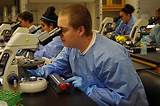 Pictures of Medical Laboratory Technician Degree Programs