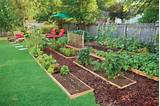 Pictures of Edible Yard Design