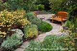 Photos of Landscape Plants California Gardens