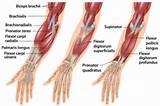 Hand Muscle Exercises Photos
