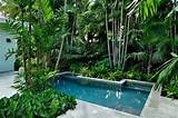 Pool Landscaping Tropical Images