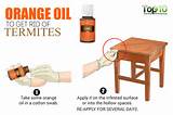 Natural Termite Killer Orange Oil Images