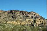 Organ Pipe Cactus National Monument Hotels Photos