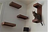 Images of Hauspanther Cat Shelves