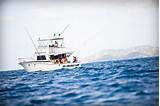 Caribbean Deep Sea Fishing Images