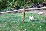 Penrod Fencing Images