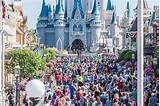 Images of Orlando Theme Park Busy Guide
