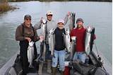 Pictures of Salmon Fishing Trips Alaska